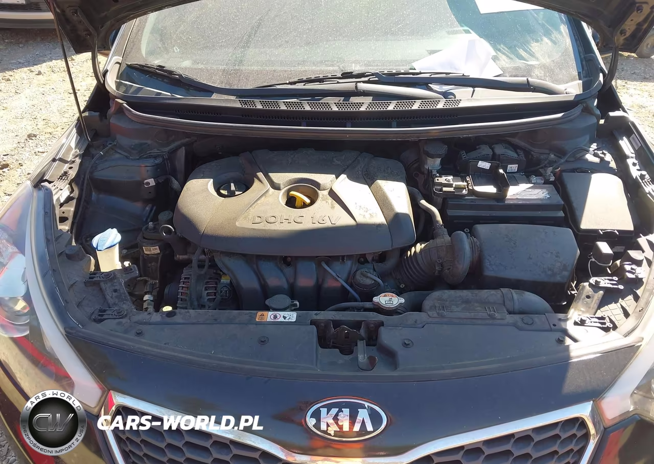 2014 Kia Forte Lx VIN:KNAFK4A61E5162208 - 10