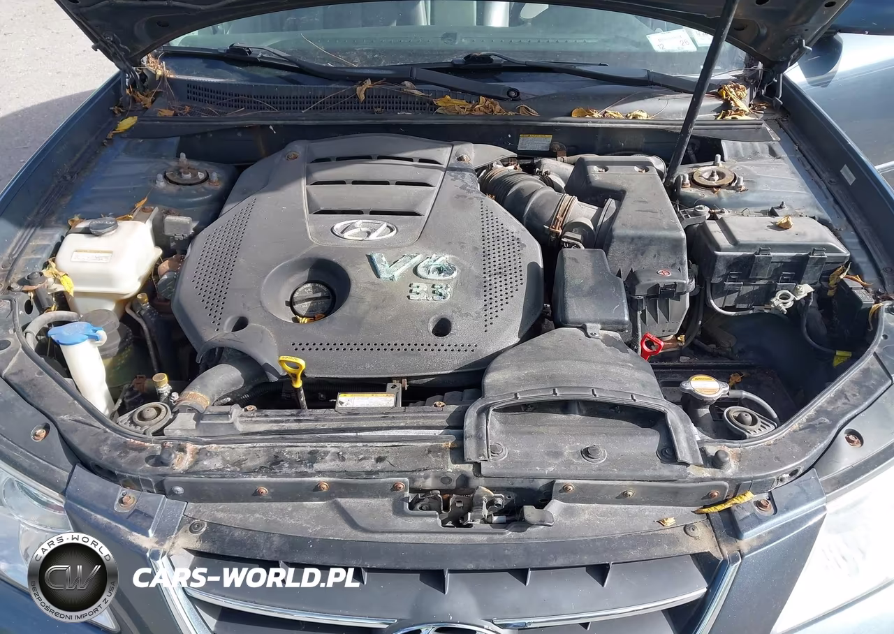 2009 Hyundai Sonata Se V6 VIN:5NPEU46F59H434413 - 10