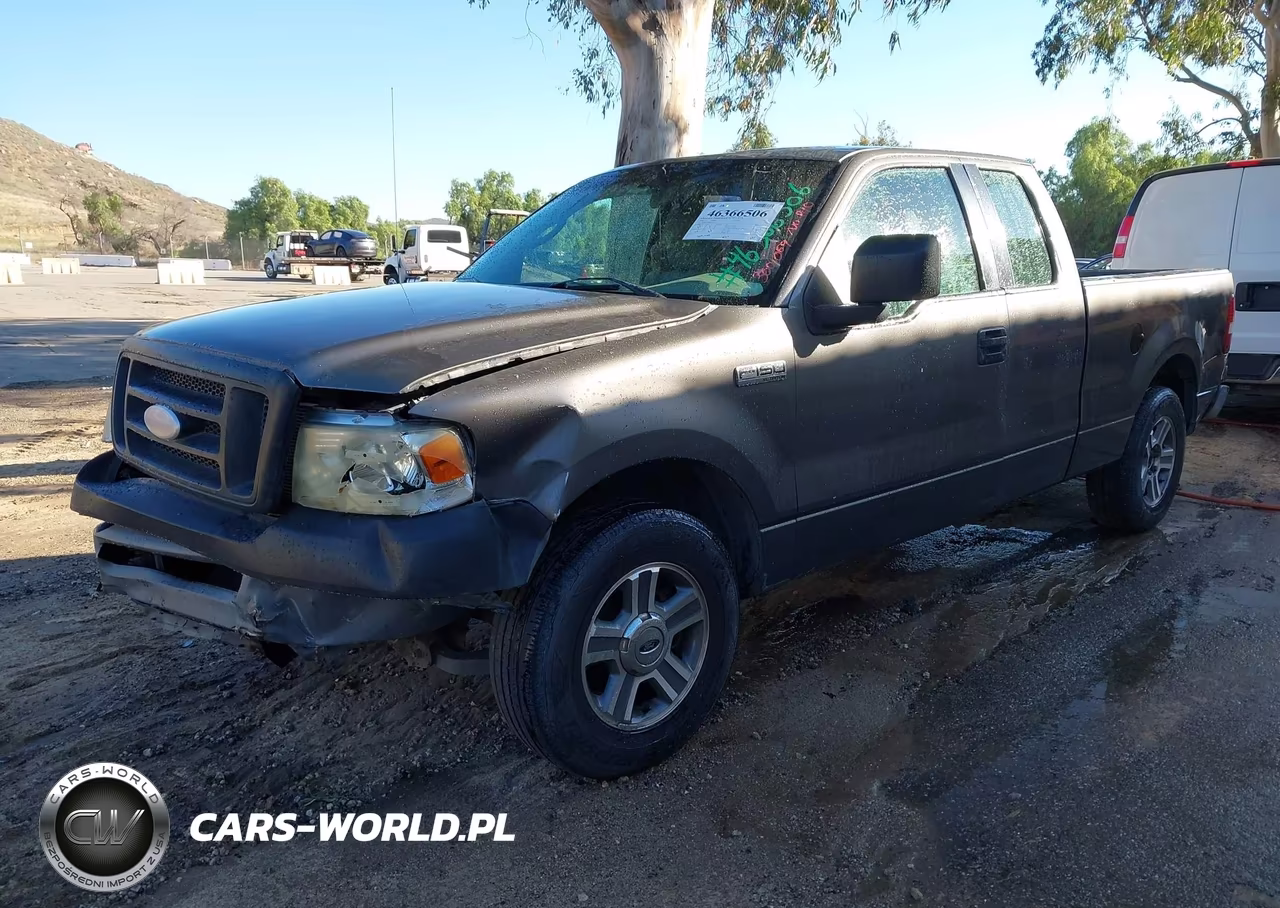 2006 Ford F-150 Stx-Xl-Xlt VIN:1FTRX12W86FA10114 - 2