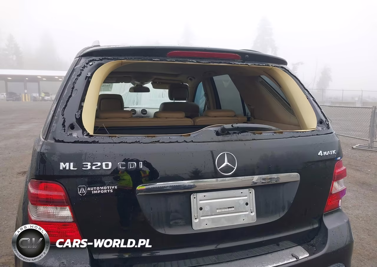 2008 Mercedes-Benz Ml 320 Cdi 4Matic VIN:4JGBB22E58A439784 - 6