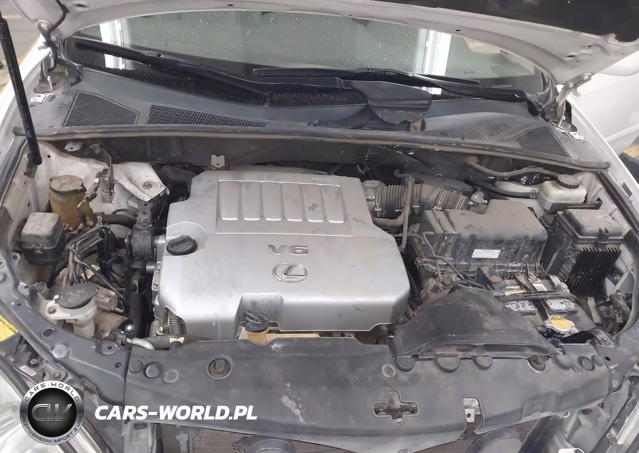 2007 Lexus Rx 350 VIN:2T2HK31U87C032187 - 10