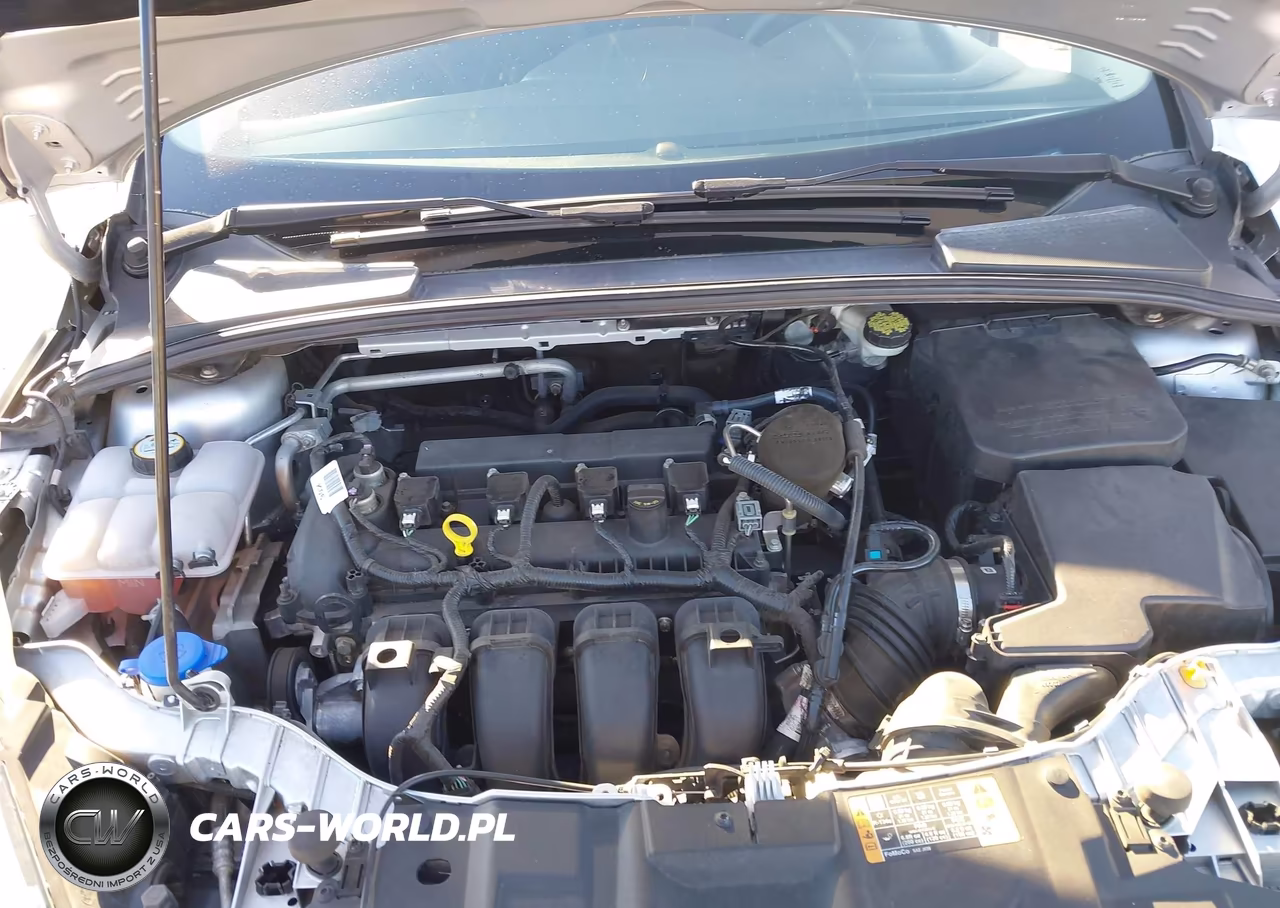 2015 Ford Focus Se VIN:1FADP3F21FL245135 - 10