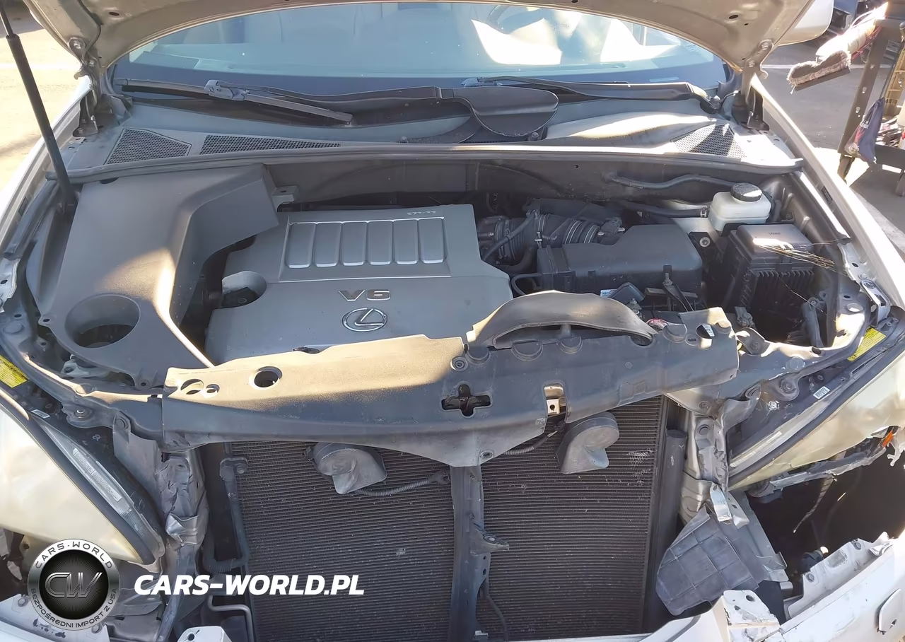 2007 Lexus Rx 350 VIN:2T2GK31U97C020450 - 10