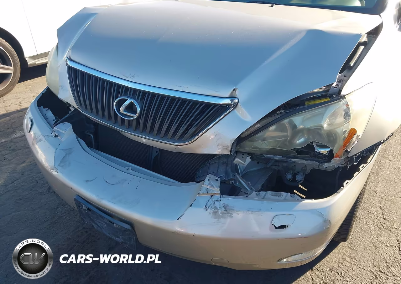 2007 Lexus Rx 350 VIN:2T2GK31U97C020450 - 15