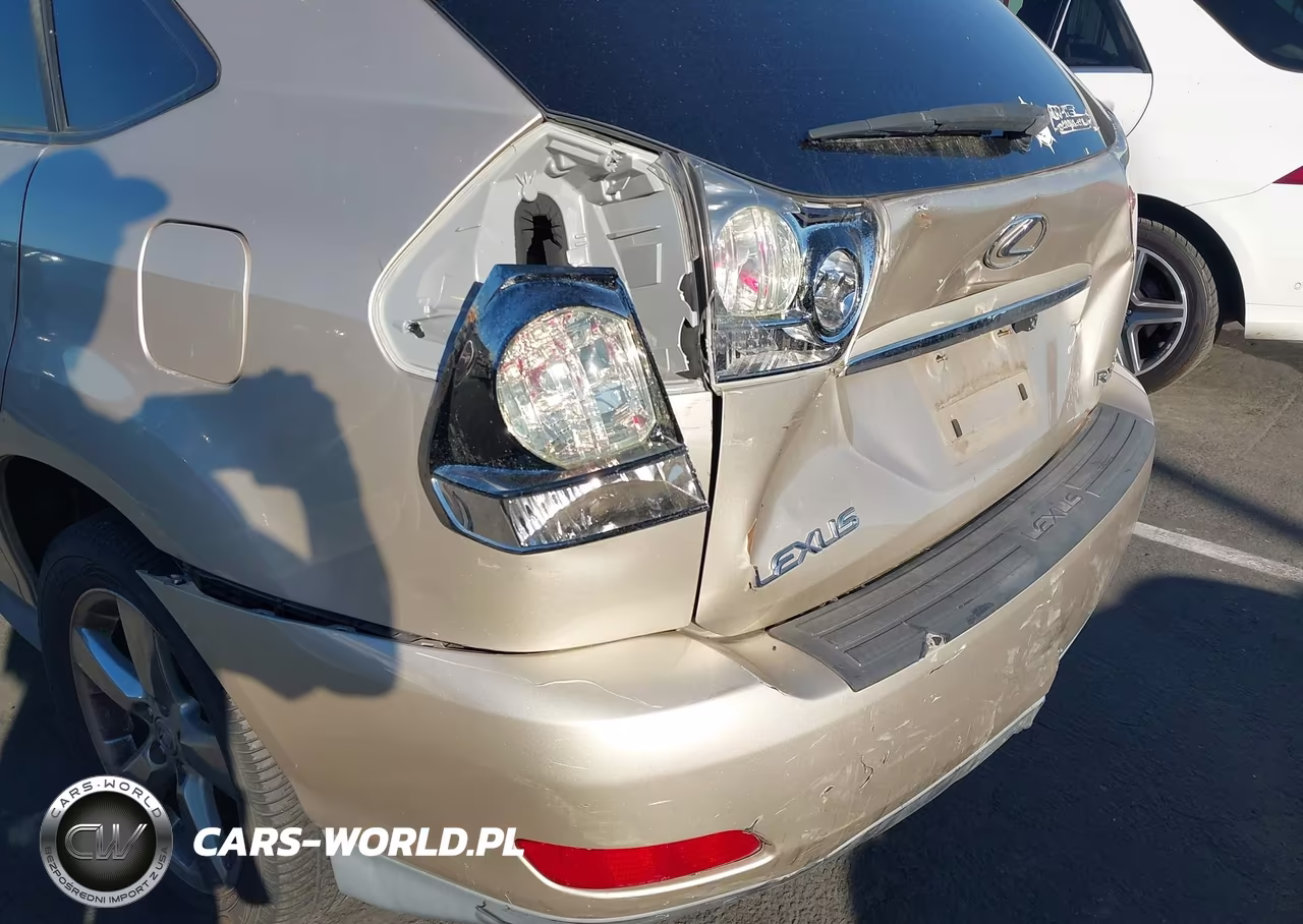 2007 Lexus Rx 350 VIN:2T2GK31U97C020450 - 6