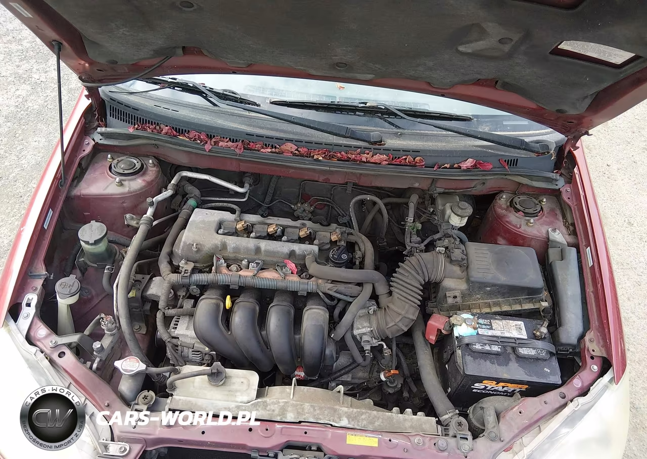 2005 Toyota Corolla Ce VIN:1NXBR32E45Z563900 - 10