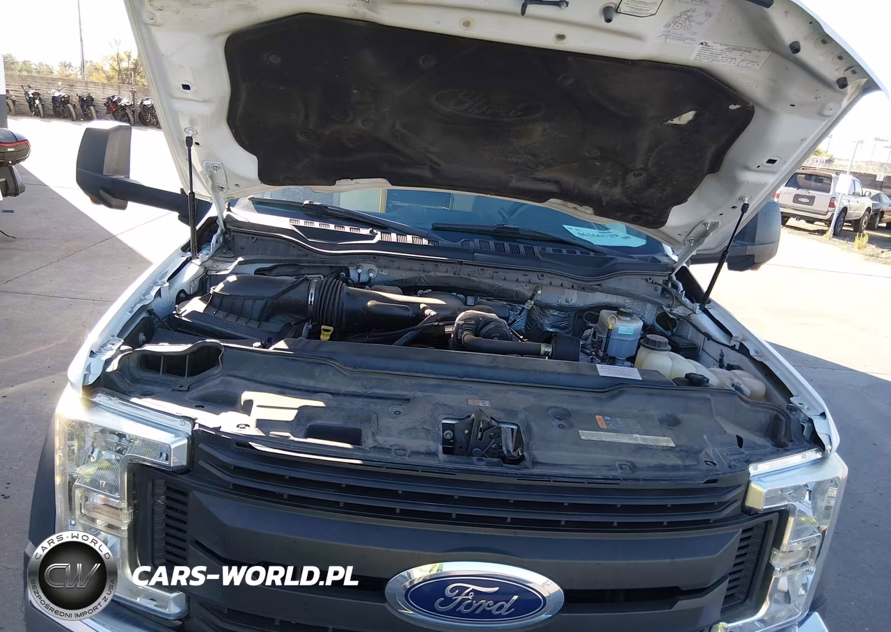 2017 Ford F-550 Chassis Xl VIN:1FDAF5GY8HEF22378 - 10