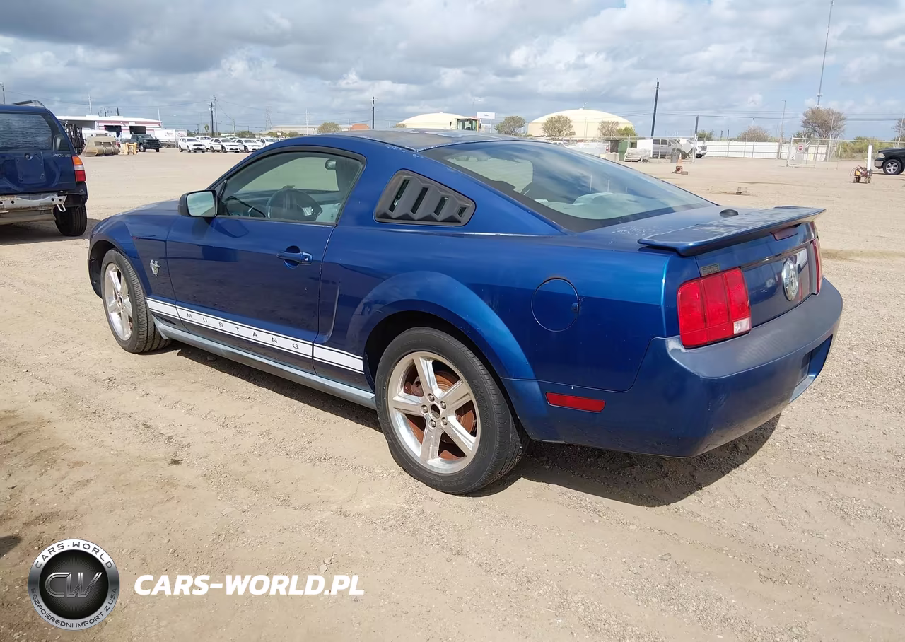 2009 Ford Mustang V6-V6 Premium VIN:1ZVHT80N095119216 - 3