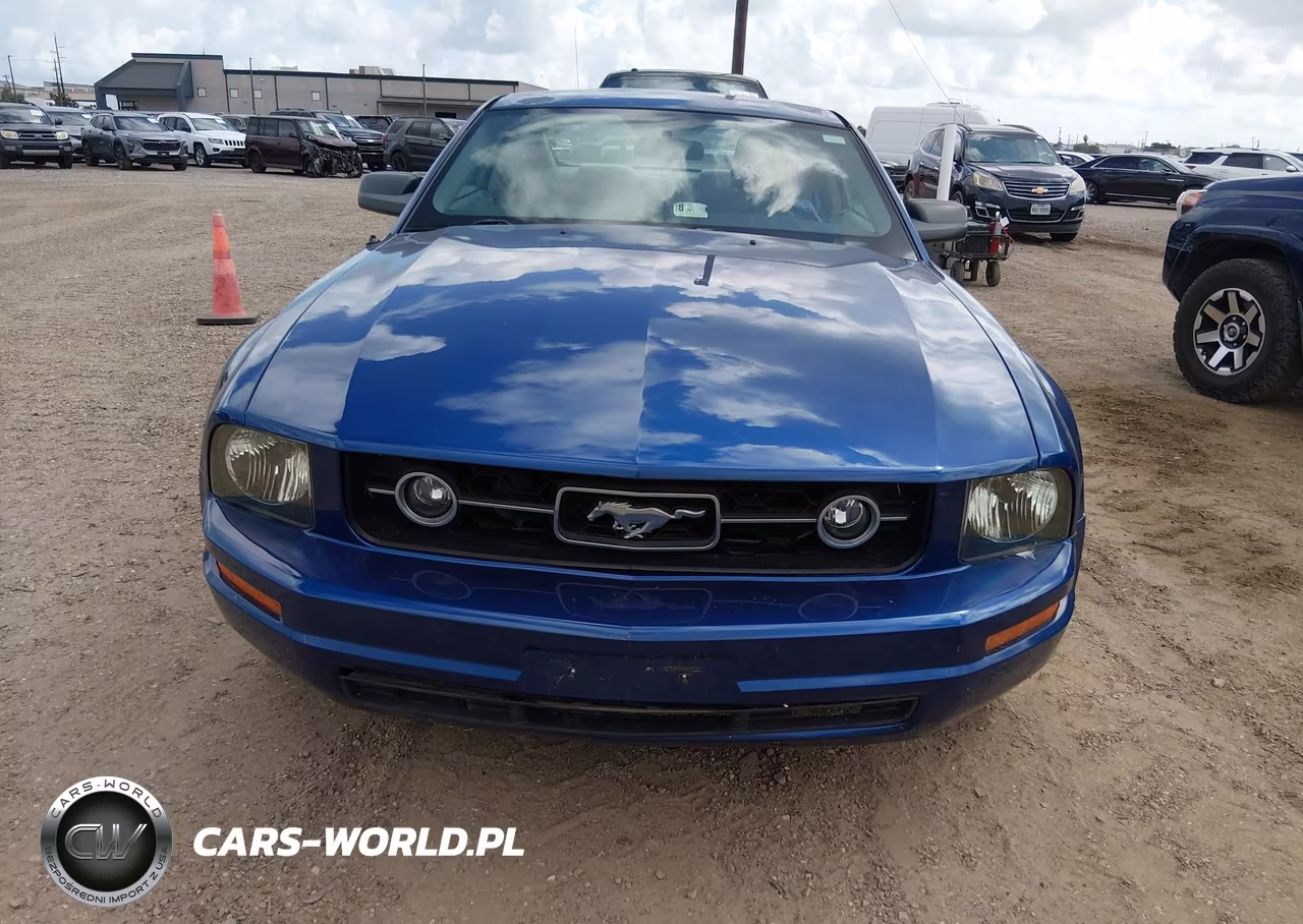 2009 Ford Mustang V6-V6 Premium VIN:1ZVHT80N095119216 - 6