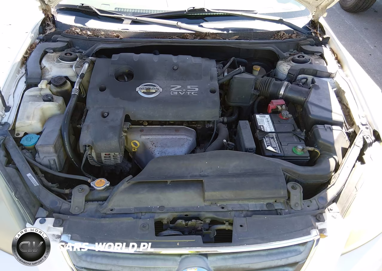 2004 Nissan Altima 2.5 S VIN:1N4AL11DX4C163753 - 10