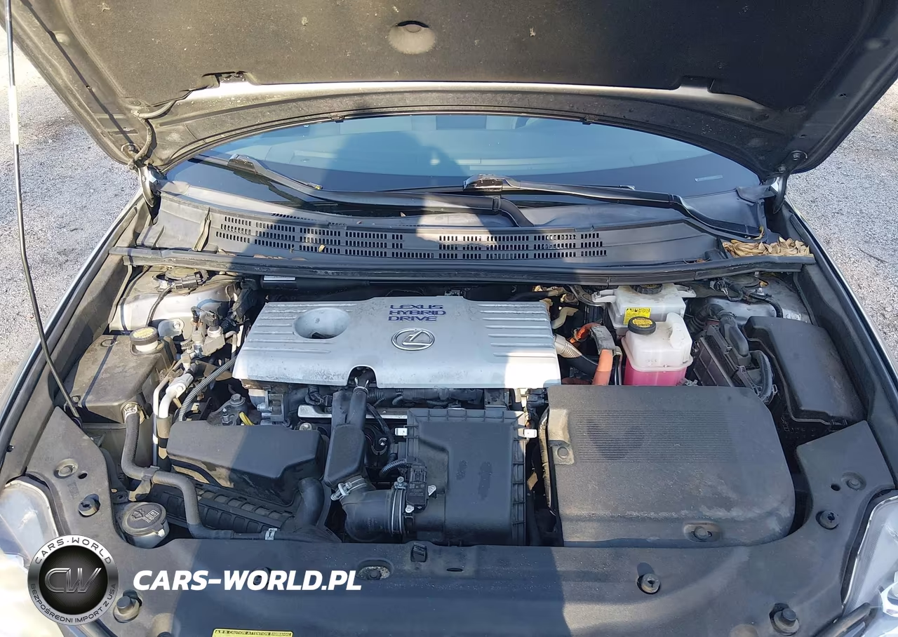 2014 Lexus Ct 200H VIN:JTHKD5BH2E2184509 - 10