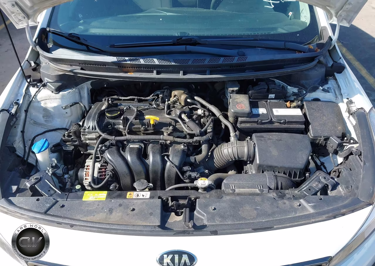 2017 Kia Forte Lx VIN:KNAFK5A85H5670631 - 10