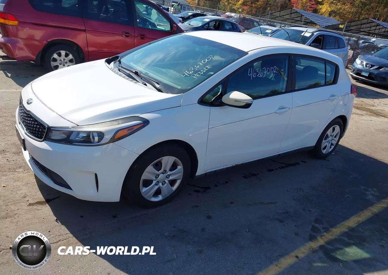 2017 Kia Forte Lx VIN:KNAFK5A85H5670631 - 2