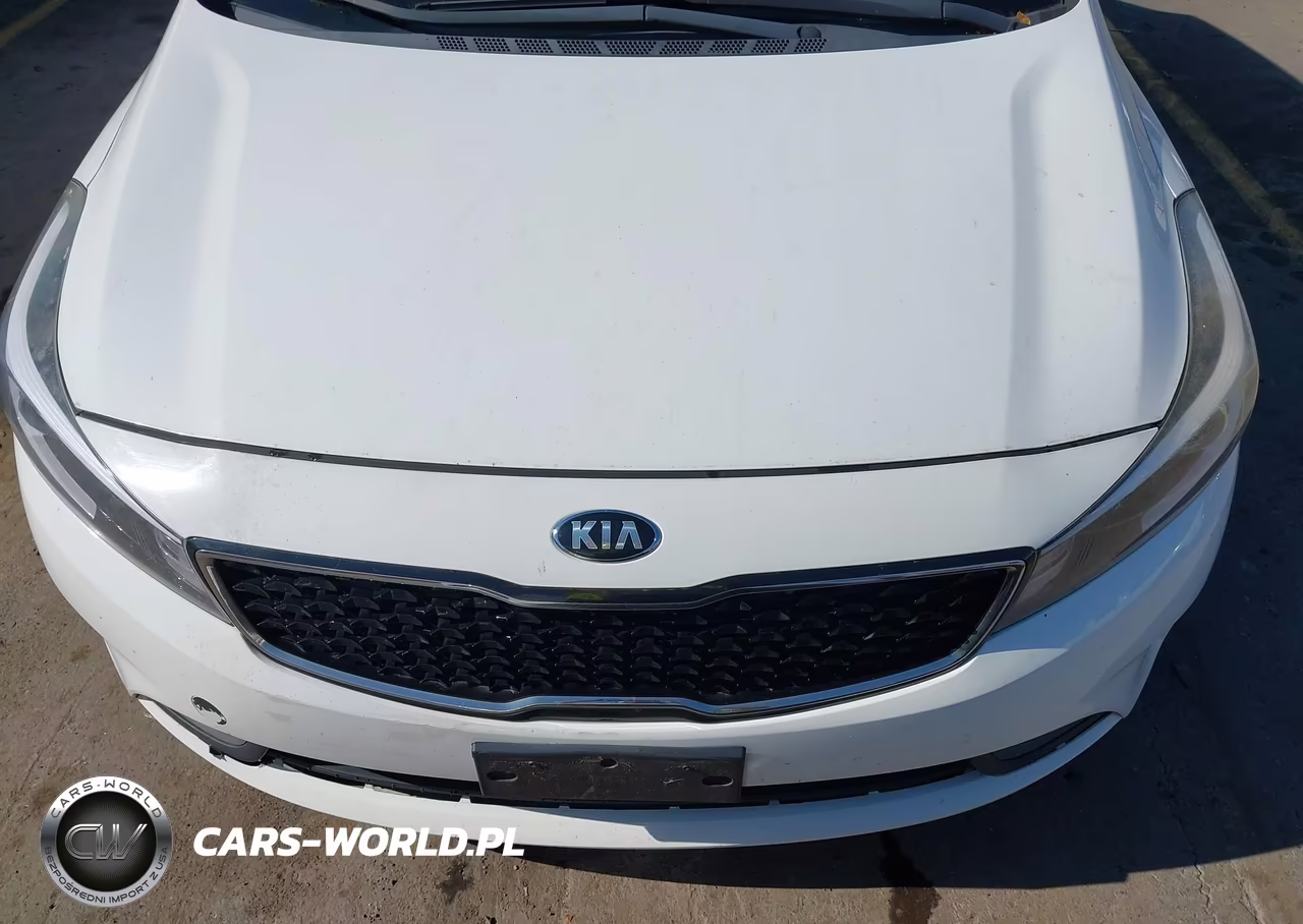 2017 Kia Forte Lx VIN:KNAFK5A85H5670631 - 6