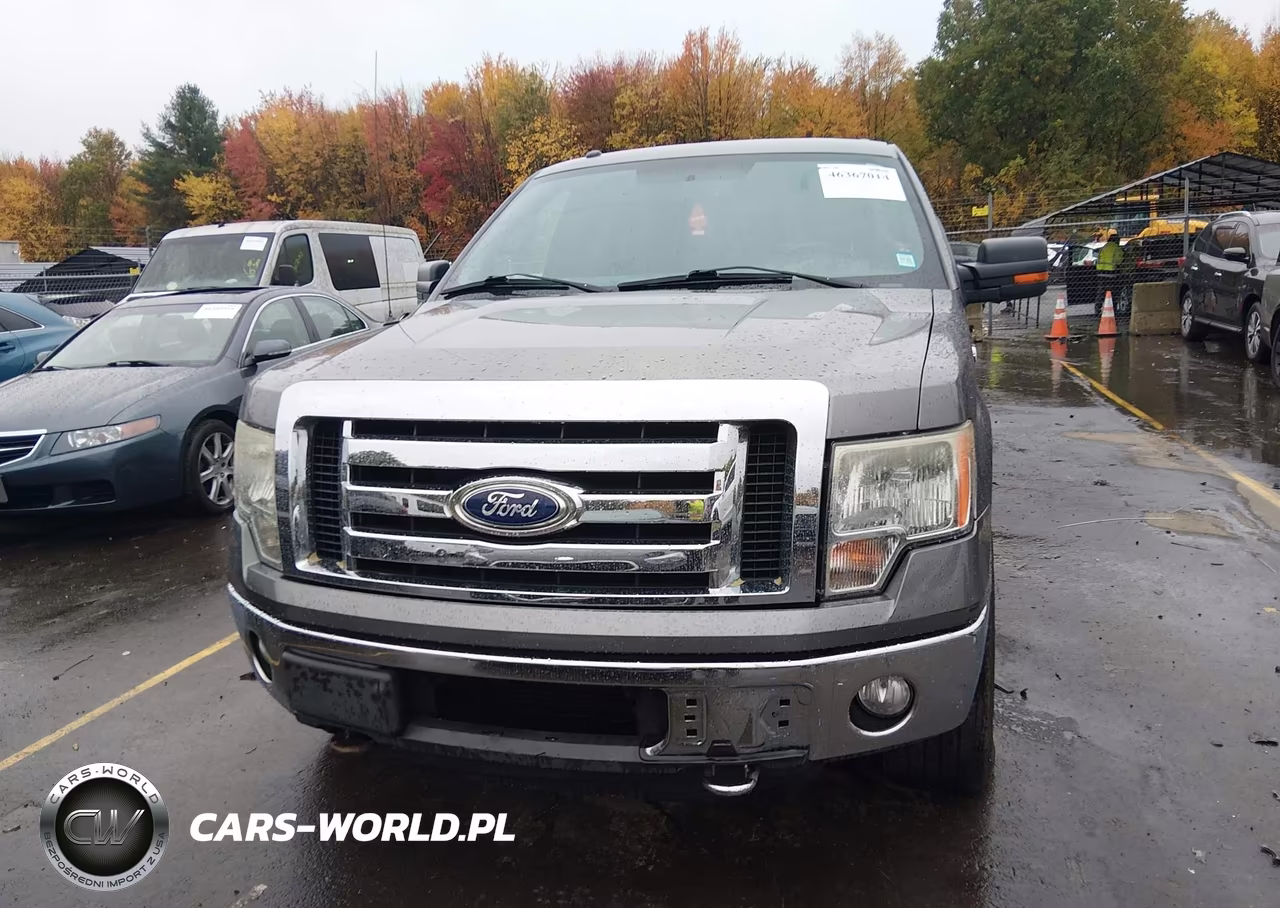 2011 Ford F-150 Xlt VIN:1FTFW1ET7BFC09088 - 12