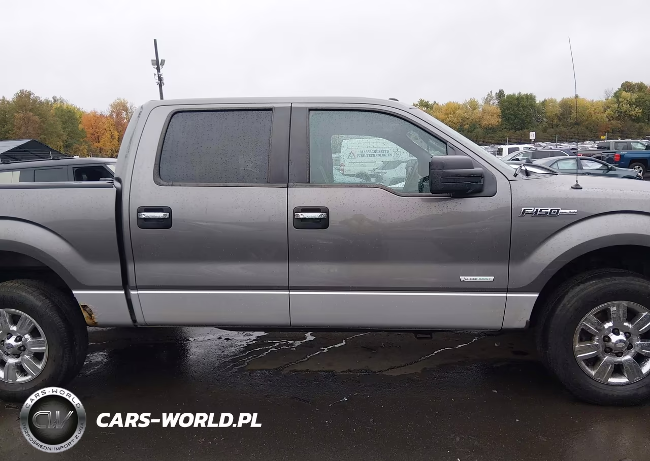2011 Ford F-150 Xlt VIN:1FTFW1ET7BFC09088 - 13