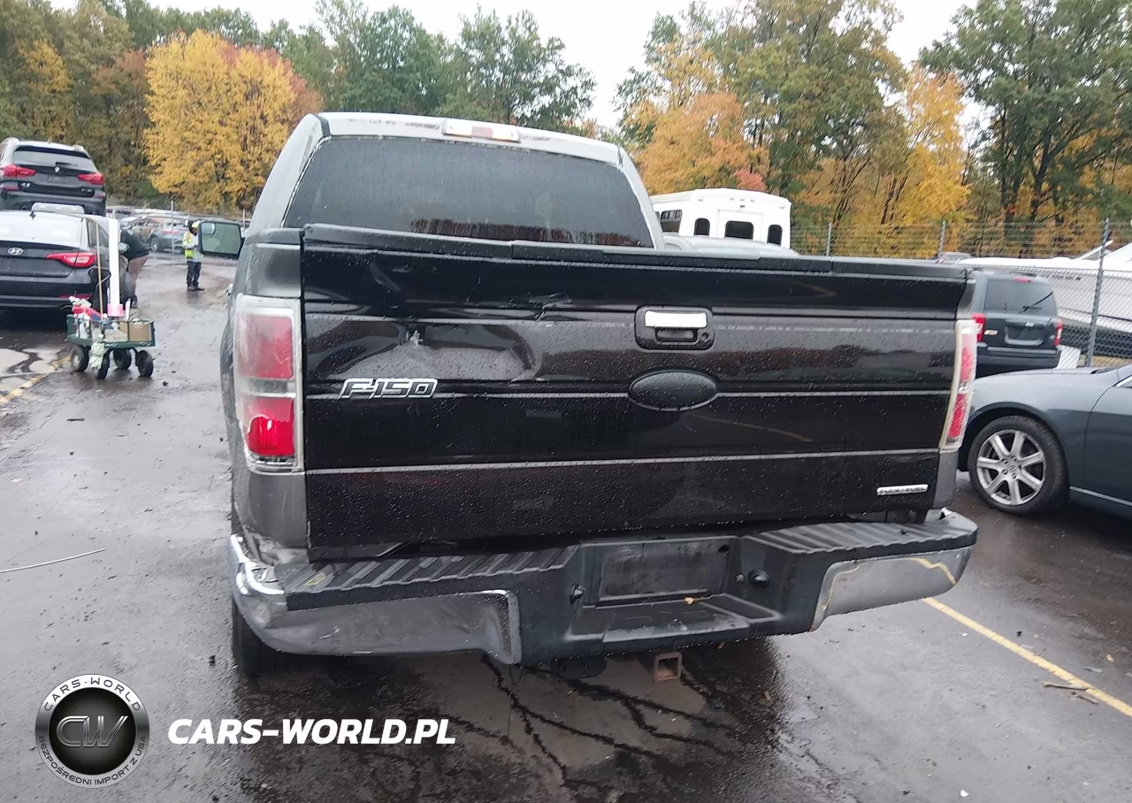 2011 Ford F-150 Xlt VIN:1FTFW1ET7BFC09088 - 16