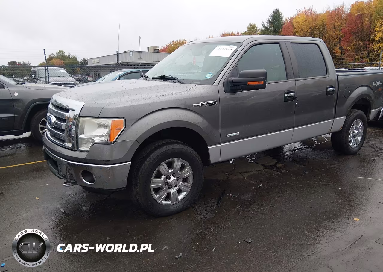 2011 Ford F-150 Xlt VIN:1FTFW1ET7BFC09088 - 2