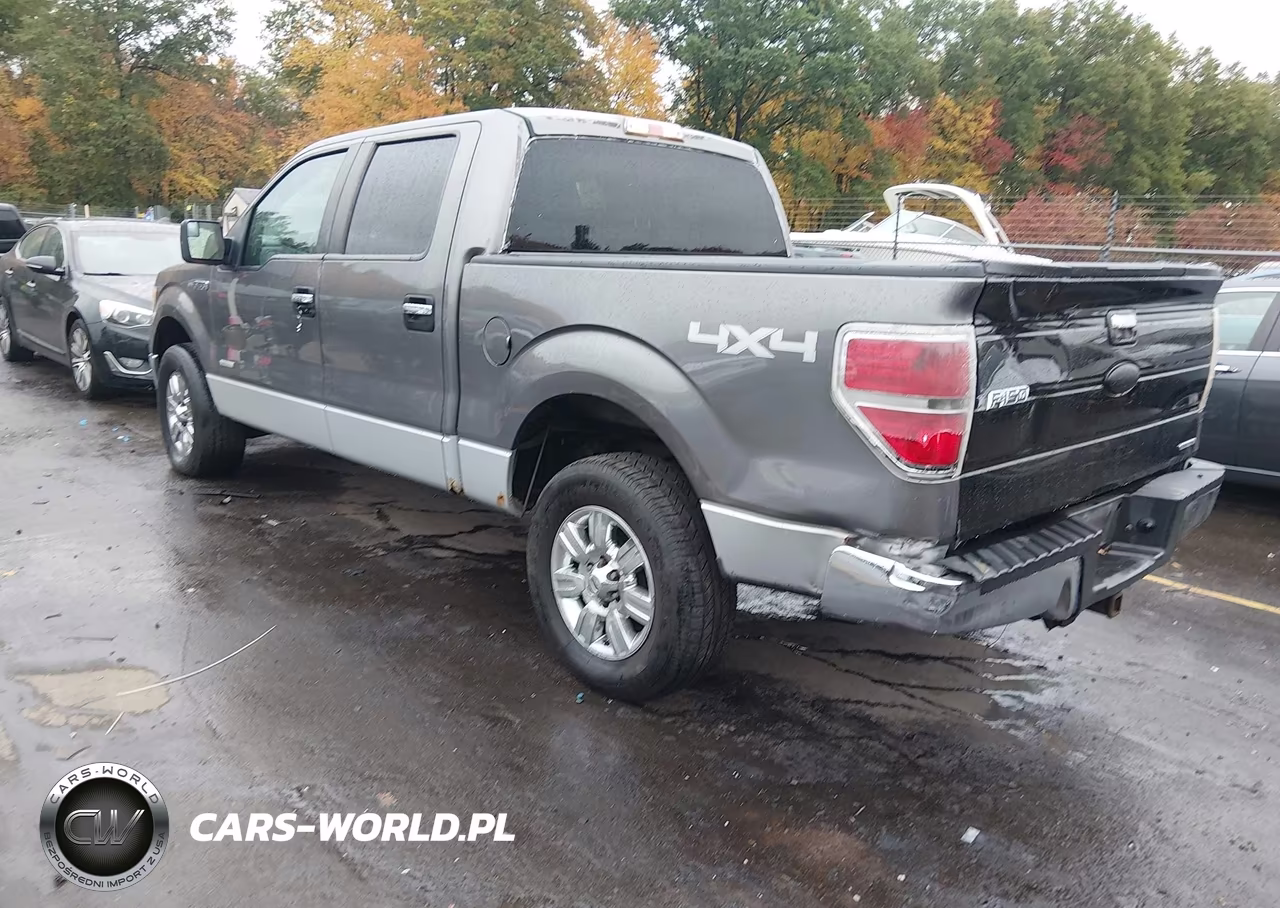 2011 Ford F-150 Xlt VIN:1FTFW1ET7BFC09088 - 3