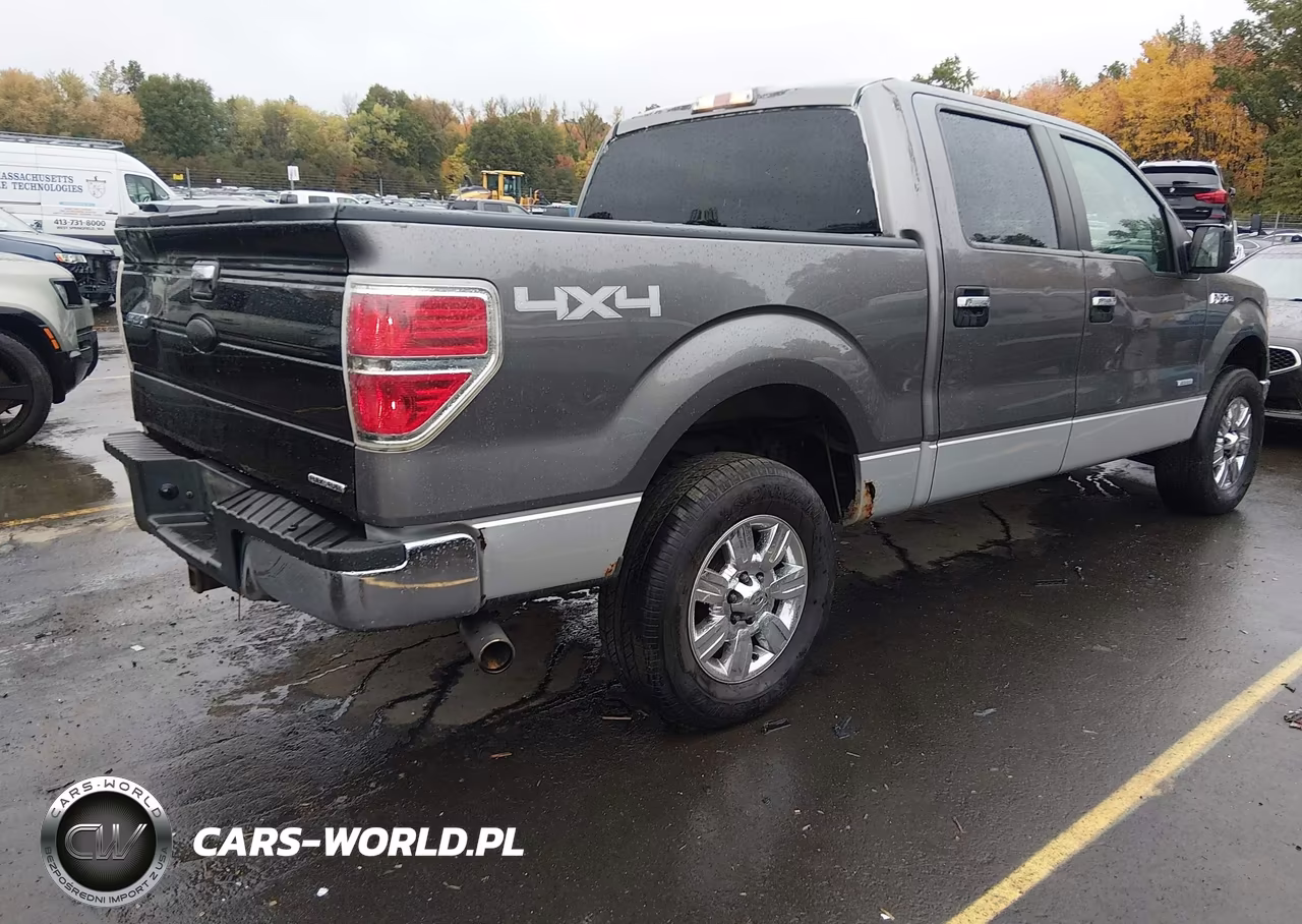 2011 Ford F-150 Xlt VIN:1FTFW1ET7BFC09088 - 4