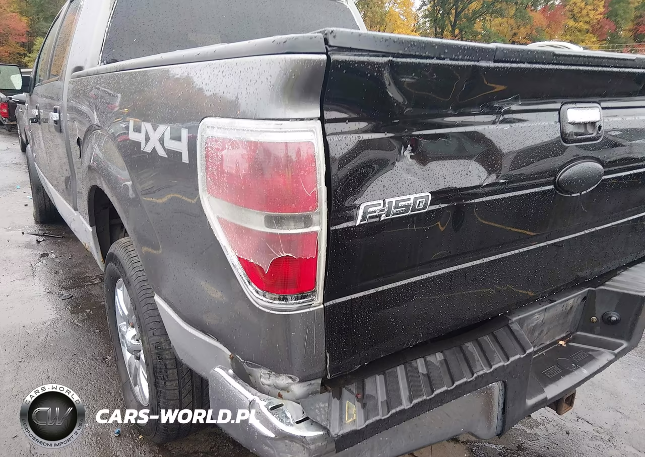 2011 Ford F-150 Xlt VIN:1FTFW1ET7BFC09088 - 6