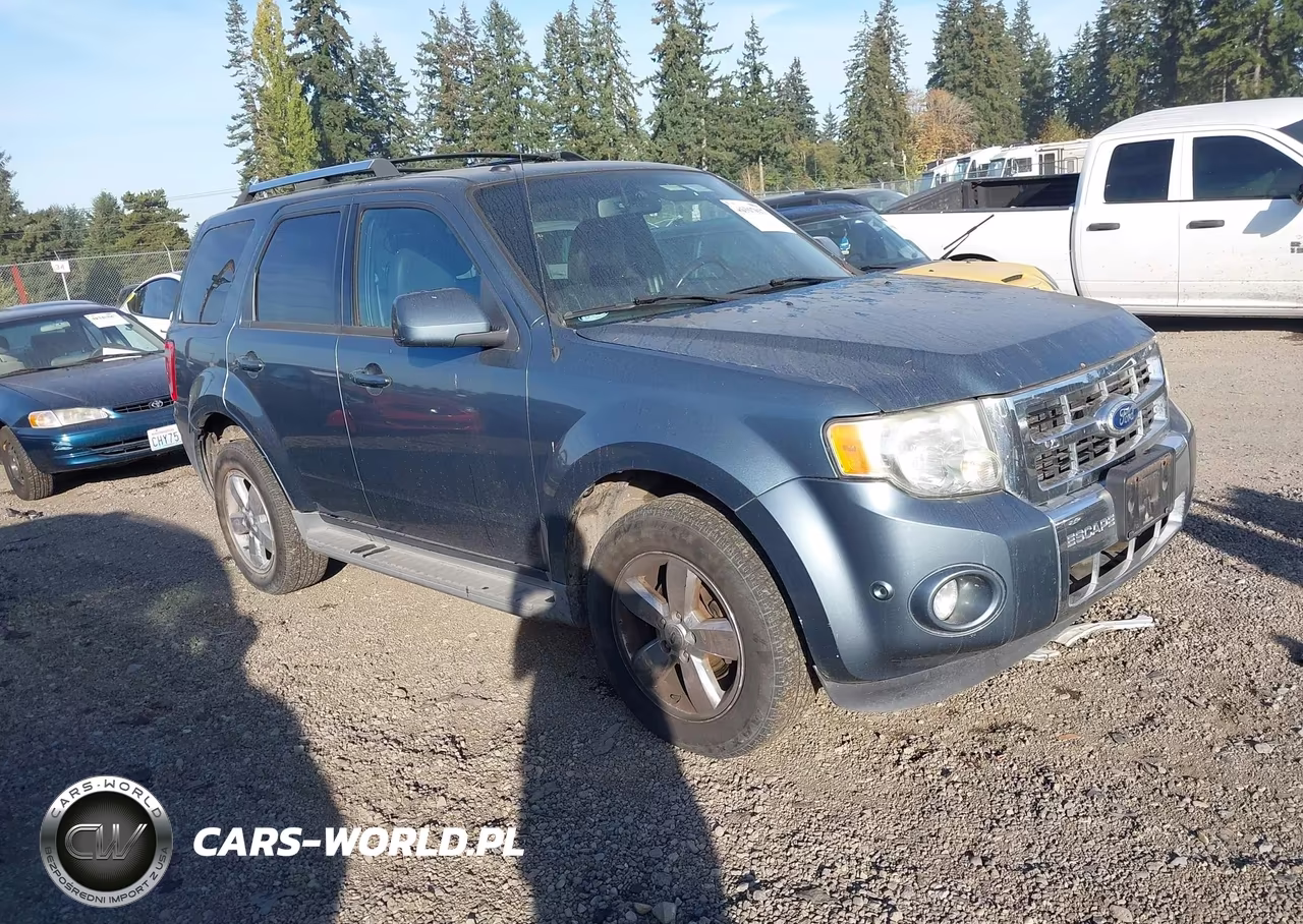 2010 Ford Escape Limited