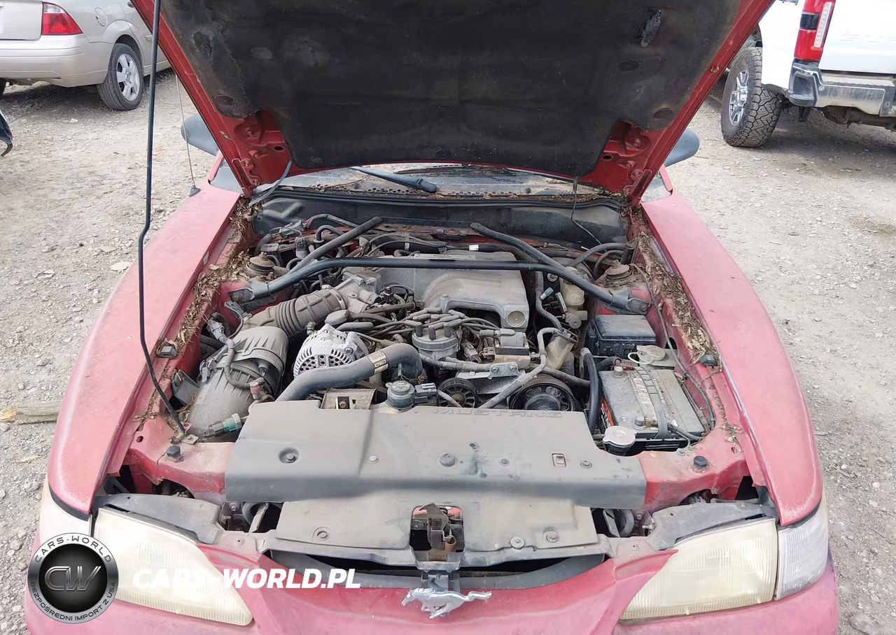 1995 Ford Mustang Gt-Gts VIN:1FALP42T4SF231545 - 10