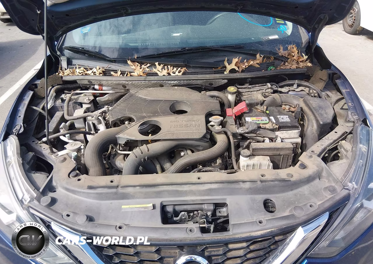 2017 Nissan Sentra Sr Turbo VIN:3N1CB7AP8HY221118 - 10