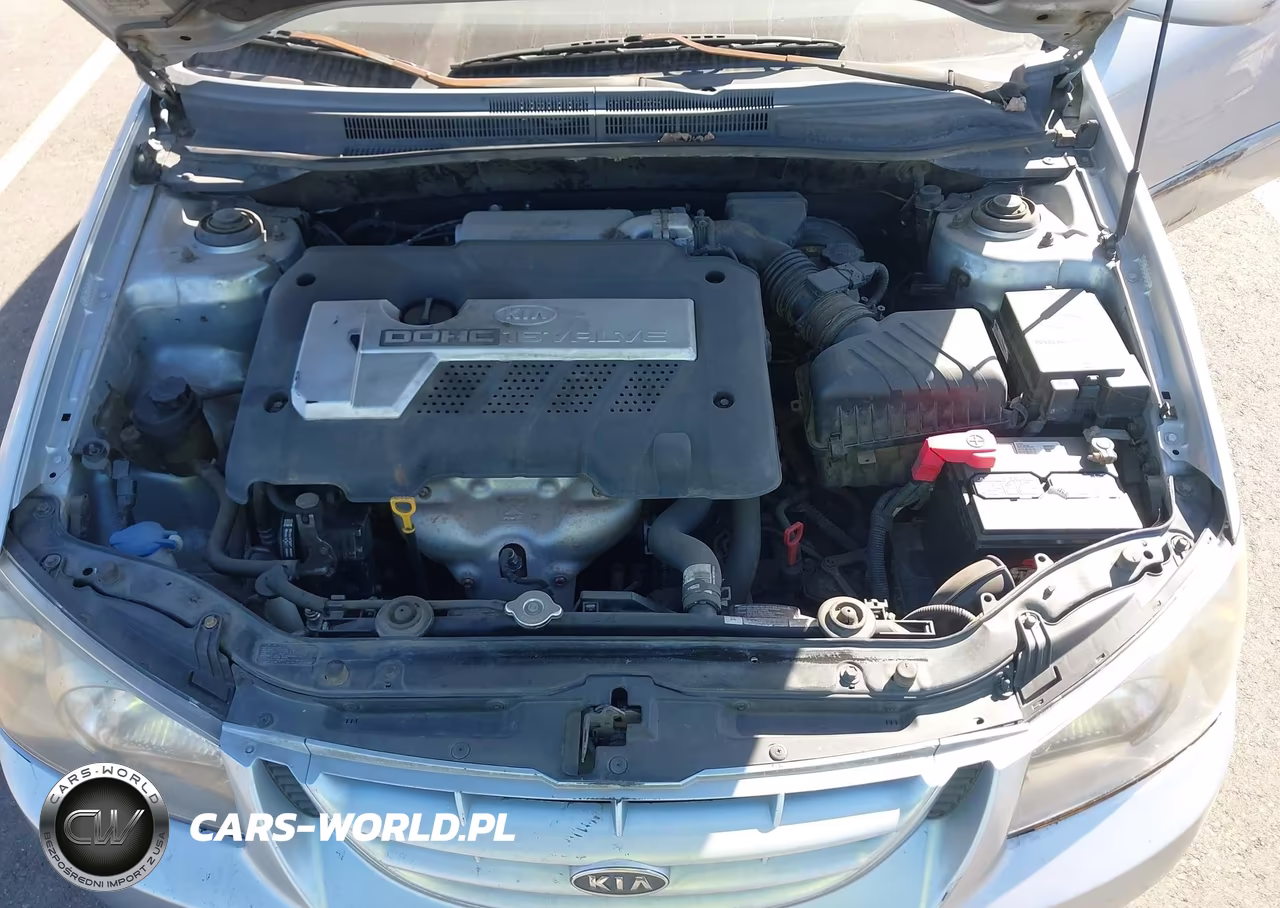 2006 Kia Spectra Ex-Lx-Sx VIN:KNAFE122265293781 - 10