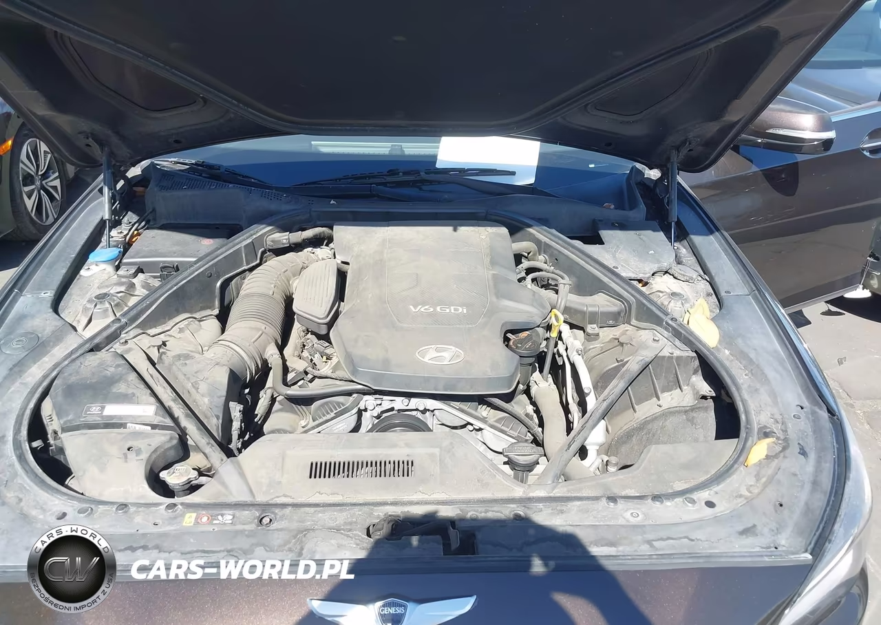 2015 Hyundai Genesis 3.8 VIN:KMHGN4JE7FU083912 - 10