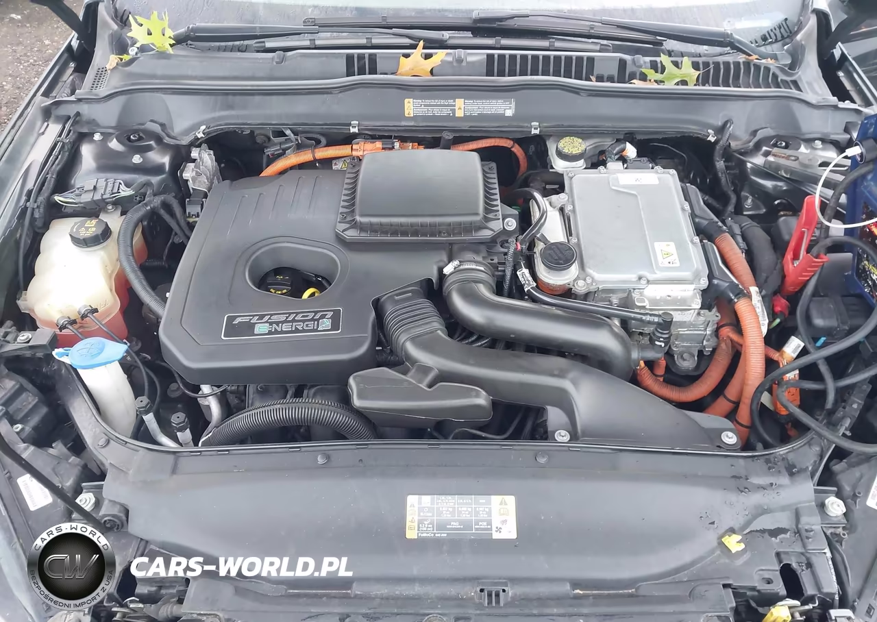 2014 Ford Fusion Energi Titanium VIN:3FA6P0SU9ER397758 - 10