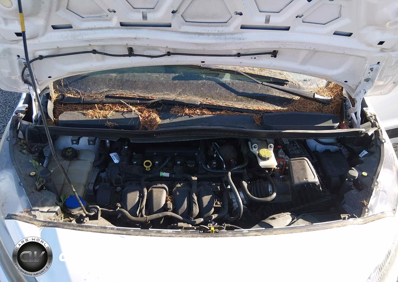 2019 Ford Transit Connect Xl VIN:NM0LS7E27K1388798 - 10