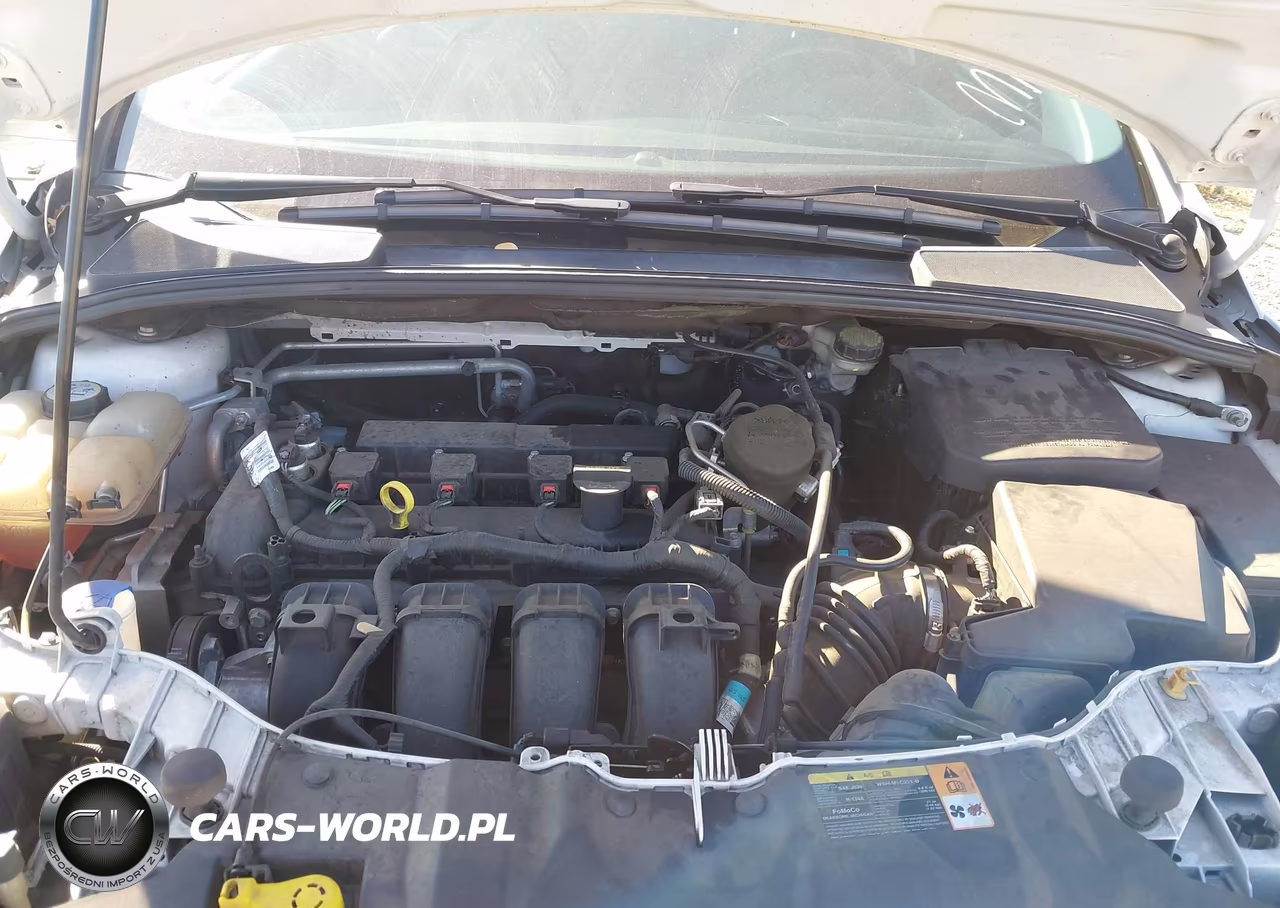 2013 Ford Focus Titanium VIN:1FADP3N22DL335585 - 10