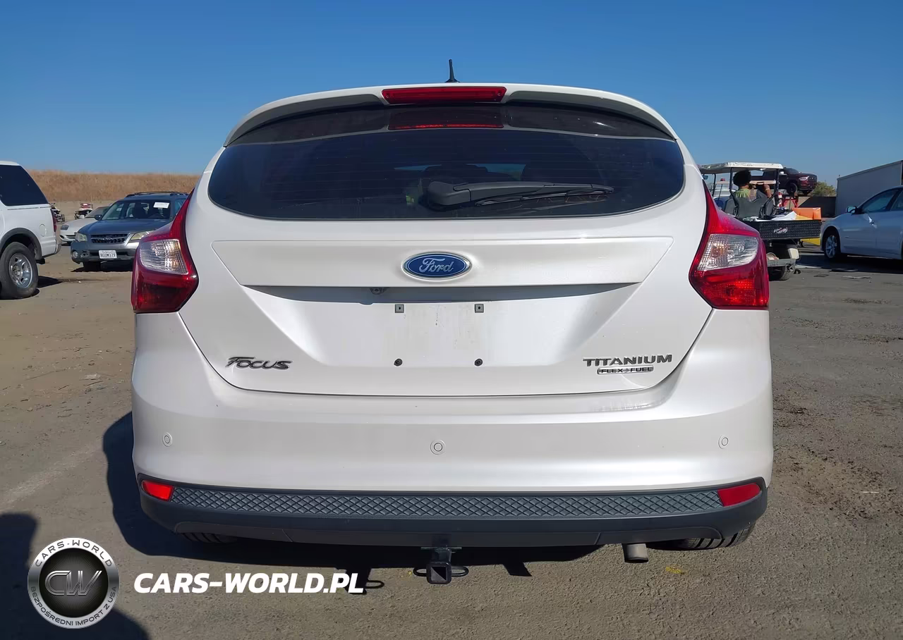 2013 Ford Focus Titanium VIN:1FADP3N22DL335585 - 16