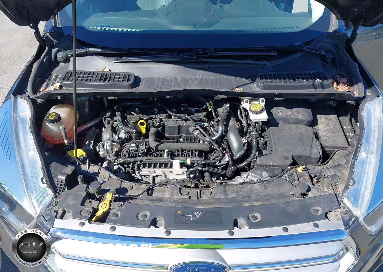 2019 Ford Escape Se VIN:1FMCU0GD2KUC06034 - 10
