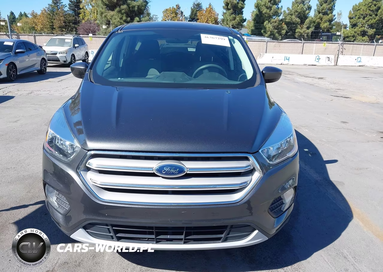 2019 Ford Escape Se VIN:1FMCU0GD2KUC06034 - 12