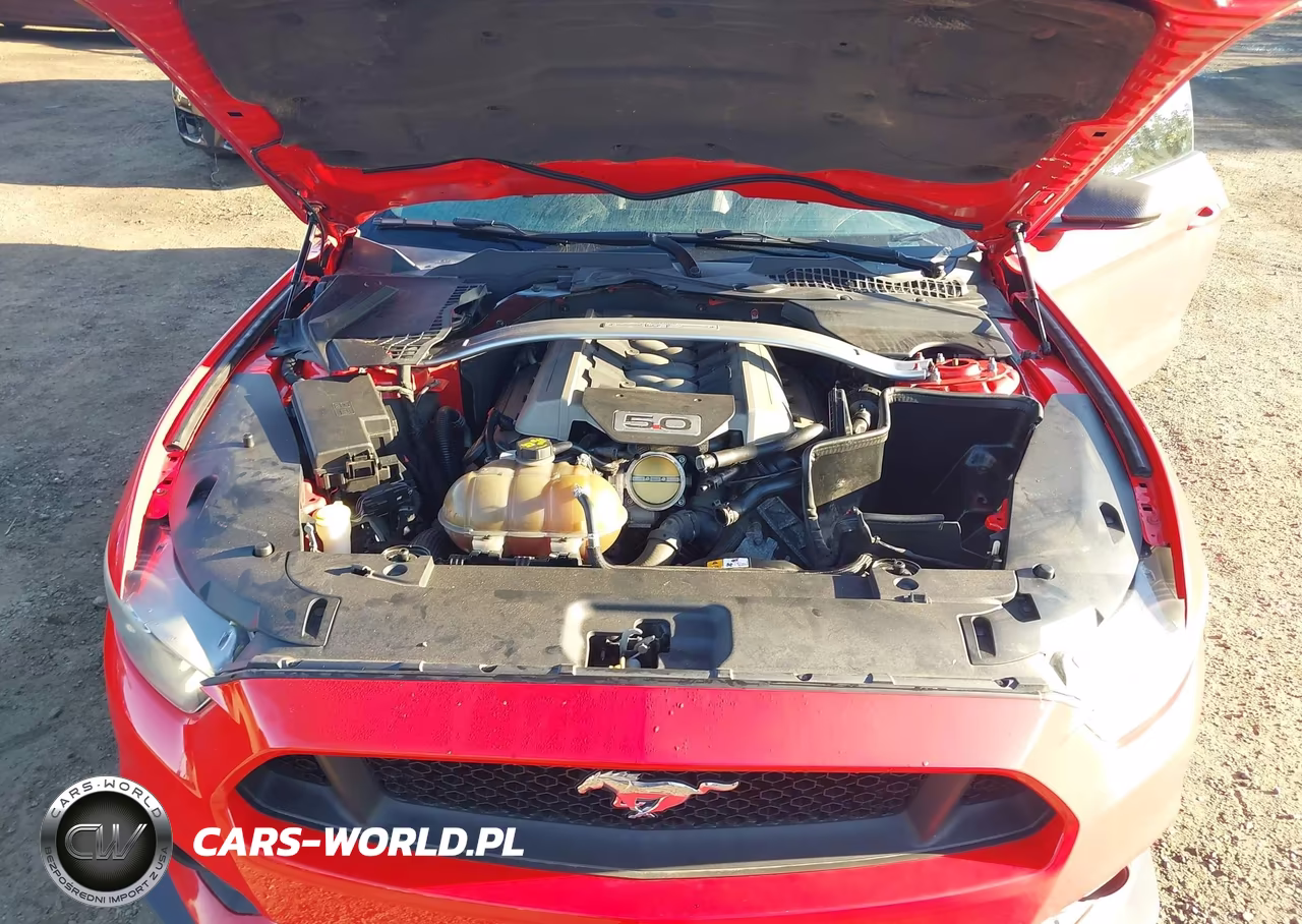 2015 Ford Mustang Gt Premium VIN:1FA6P8CFXF5320545 - 10