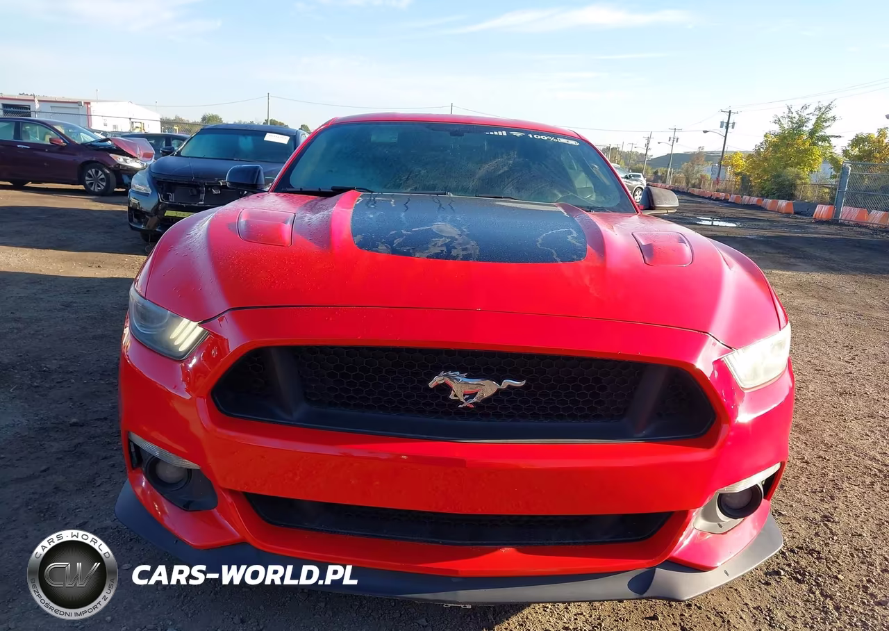2015 Ford Mustang Gt Premium VIN:1FA6P8CFXF5320545 - 13