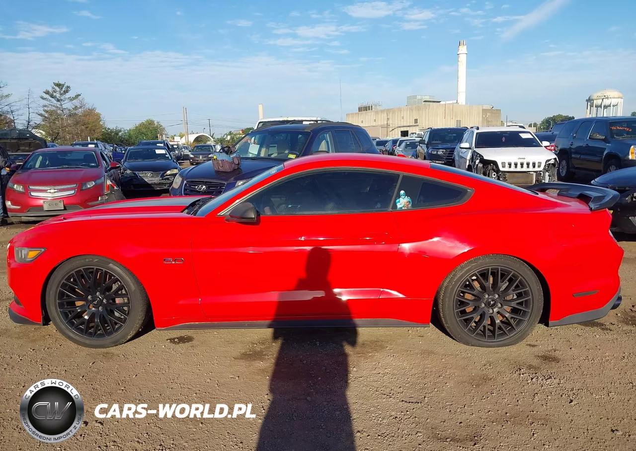 2015 Ford Mustang Gt Premium VIN:1FA6P8CFXF5320545 - 15
