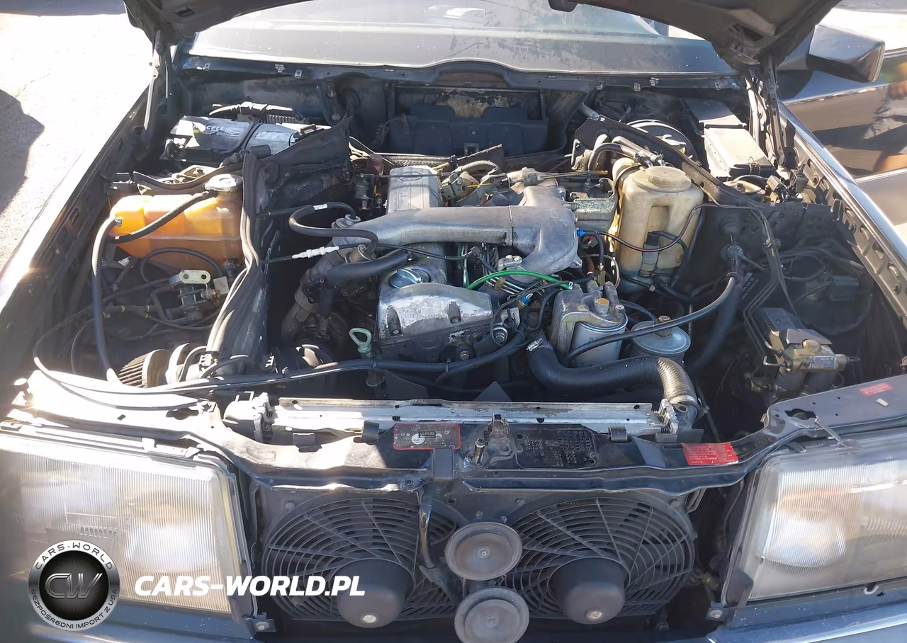 1992 Mercedes-Benz 300 D VIN:WDBEB28E5NB590069 - 10