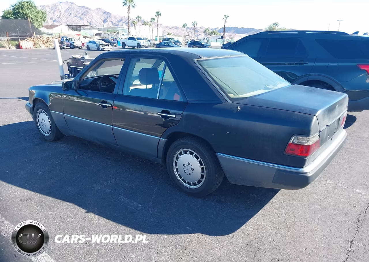1992 Mercedes-Benz 300 D VIN:WDBEB28E5NB590069 - 3