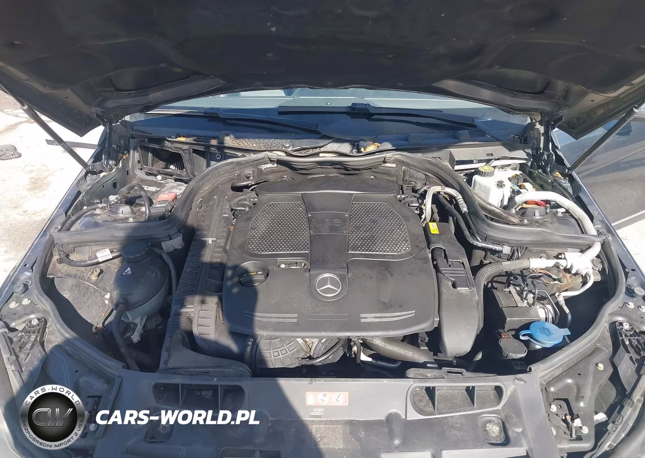 2013 Mercedes-Benz C 300 Sport 4Matic VIN:WDDGF8AB9DG139509 - 10