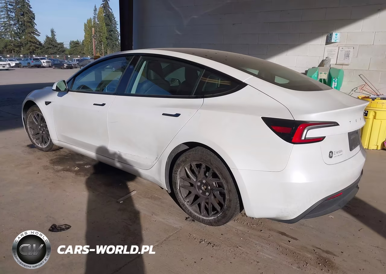 2024 Tesla Model 3 Long Range Dual Motor All-Wheel Drive VIN:5YJ3E1EB9RF740093 - 3