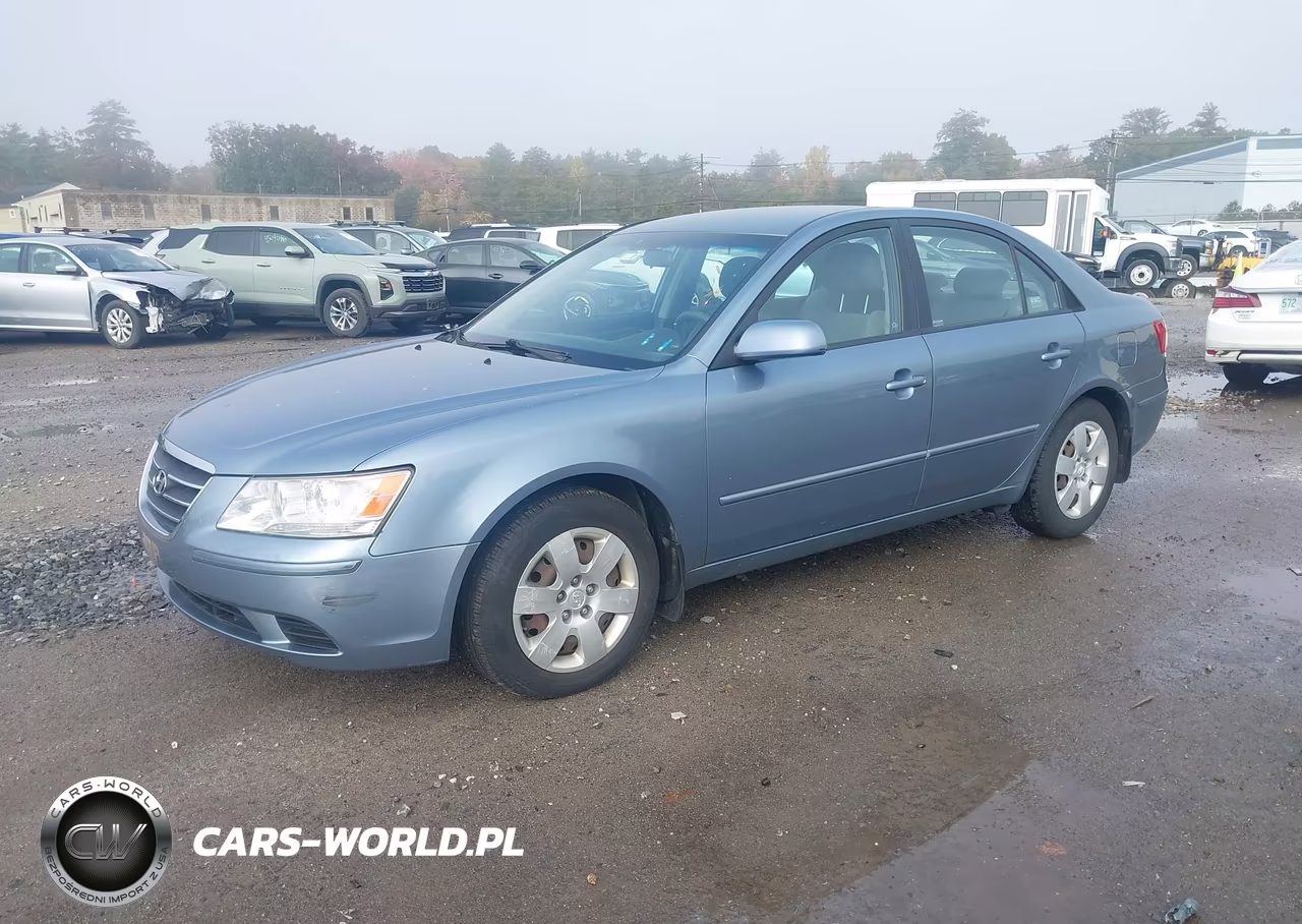 2010 Hyundai Sonata Gls VIN:5NPET4AC8AH617602 - 2