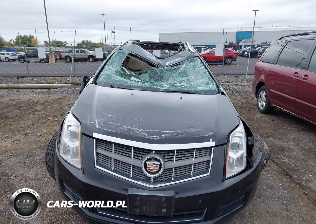 2010 Cadillac Srx Luxury Collection VIN:3GYFNAEY5AS613722 - 13