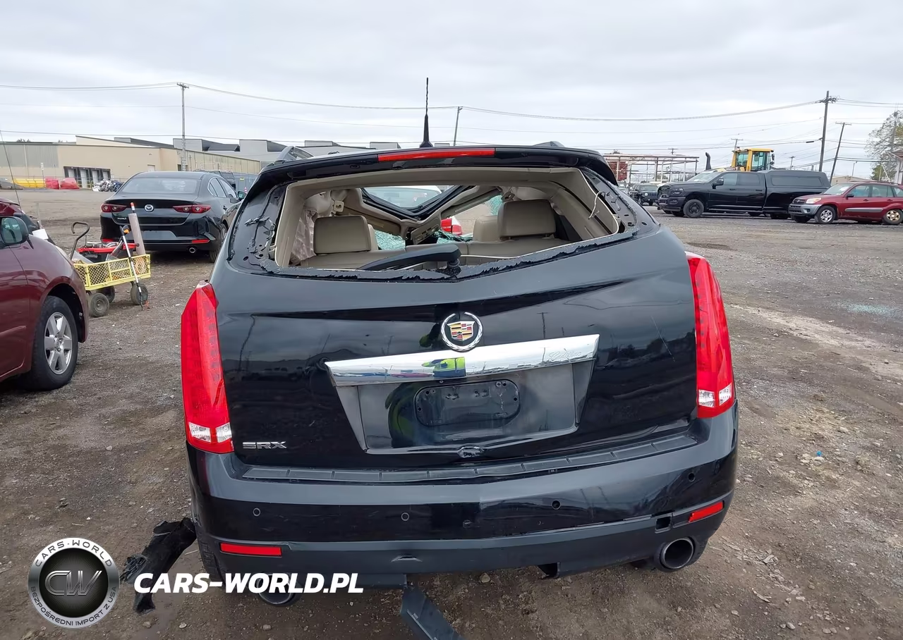 2010 Cadillac Srx Luxury Collection VIN:3GYFNAEY5AS613722 - 17