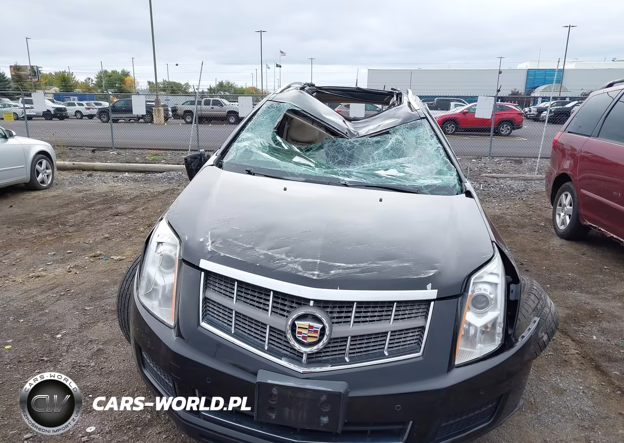 2010 Cadillac Srx Luxury Collection VIN:3GYFNAEY5AS613722 - 6