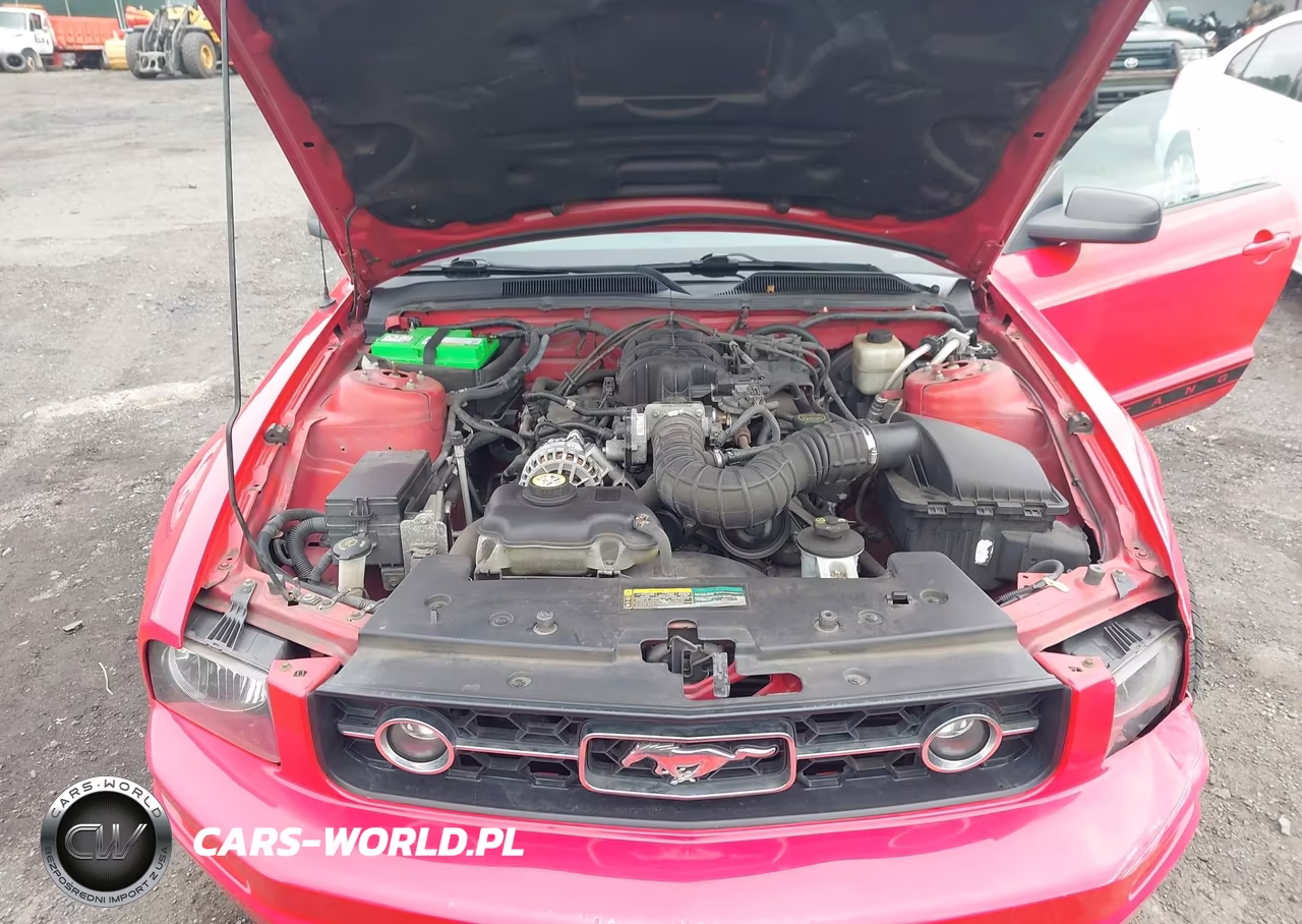 2007 Ford Mustang V6 Deluxe-V6 Premium VIN:1ZVFT80N275366919 - 10