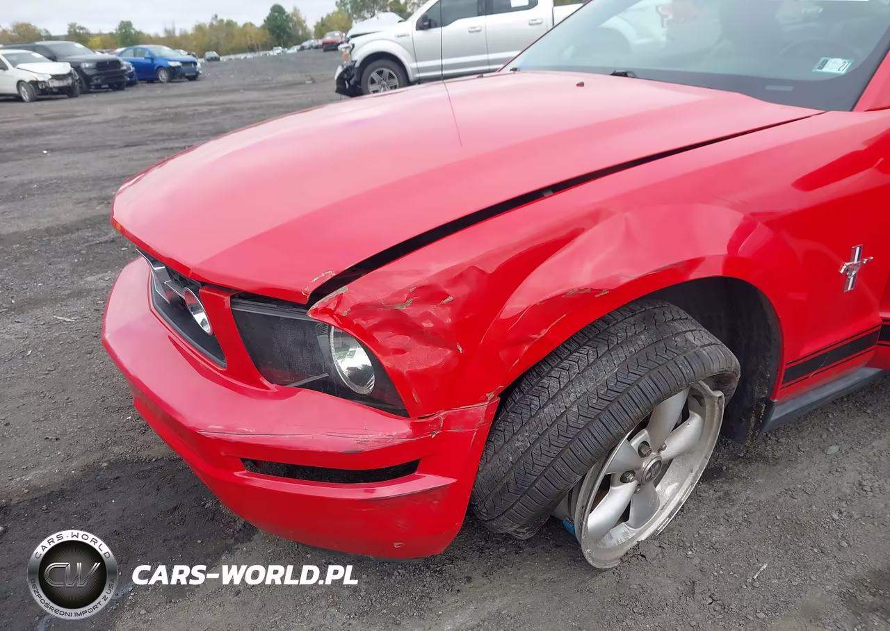 2007 Ford Mustang V6 Deluxe-V6 Premium VIN:1ZVFT80N275366919 - 6