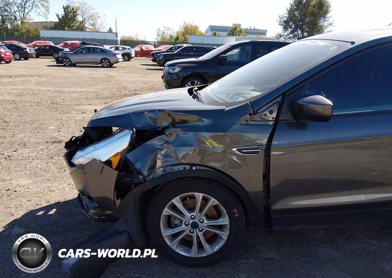 2017 Ford Escape Se VIN:1FMCU9G99HUD29662 - 12